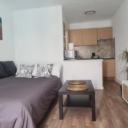 Appartement Estudio Delfines 4 *