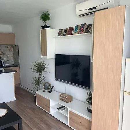 Estudio Delfines 4 *