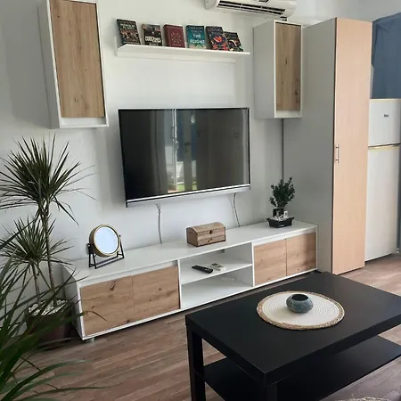 Estudio Delfines 4 卡门港